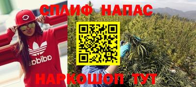 PSILOCYBIN Малоярославец