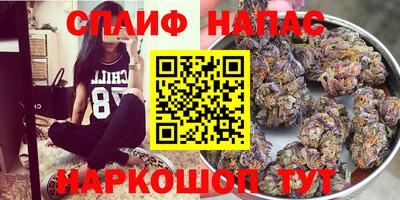 PSILOCYBIN Малоярославец