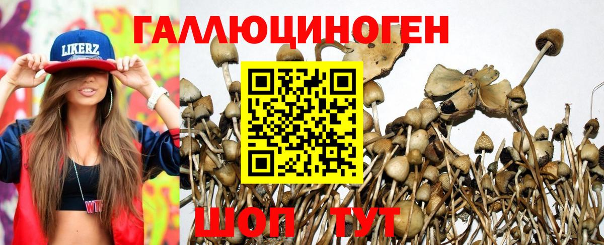 Псилоцибиновые грибы мухоморы Усинск