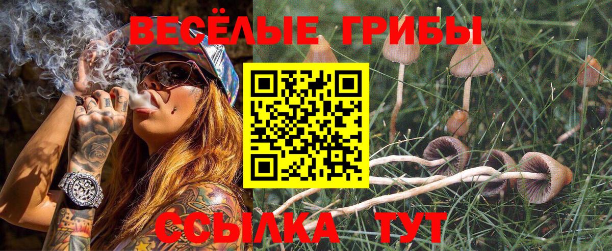 Усинск  Псилоцибиновые грибы GOLDEN TEACHER  Вход с VPN 